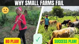Why Most Small Farms Fail | Farming Mistakes You Must Avoid to Succeed