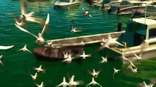 Finding nemo - Bruce crying, barracuda attack, anglerfish chase, and mine mine mine seagulls
