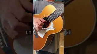 O Viol&atilde;o Perfeito para Quem Busca Qualidade e Praticidade | Mohr