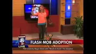 Megan Blake & Super Smiley Sizzle Reel - The Super Smiley Project