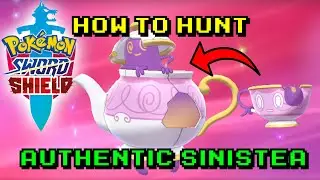 Как охотиться на настоящую Sinistea Shiny Hunt! | Объясняем новый метод охоты!