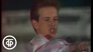 Андрей Губин 