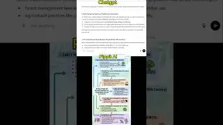 ChatGPT против Pippit AI: превратите беспорядочные заметки в визуальные ментальные карты (учитесь...