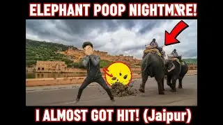 Ajmer Trek 2025: Almost Stepped in Elephant Poop! Wild Trail Adventure at Amer Fort
