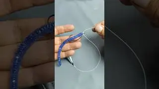 Drop Shot Rig Setup &ndash; Easy & Deadly for Bass Fishing 🎣🔥