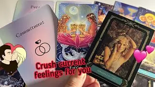 Crush Current Feelings for you❤️&zwj;🔥 Crush current feelings | Hindi tarot | Psychic tarot reading