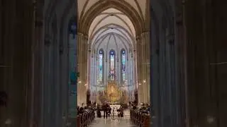 Andreea Chira | Ulrich Herkenhoff | Syrinx Consort