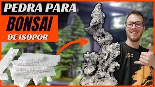PEDRA de ISOPOR para BONSAI