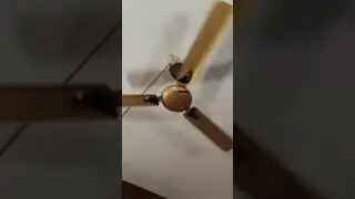 Monster Fan