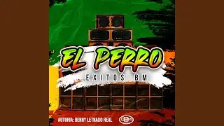 El Perro Exitos Bm