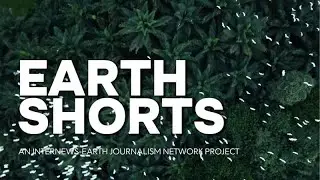 #EarthShorts: EJN's Pilot Program