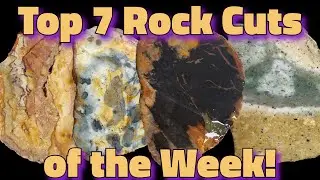 Top 7 Rock Cuts of the Week! ✨Jasper, Wonderstone, Fossil Inclusions, and More!