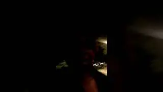 Night Time Deliveries with Bitesquad