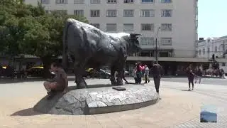 Chile Immigration Services and Tour