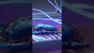 Blue beetle 🪲 Movie Review #telugu #movie #review #viral #shorts #dc #bluebeetle