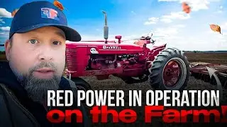 Red Power Dream Team on a Farmall Friday