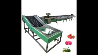 electronic fruit weight sorting machine