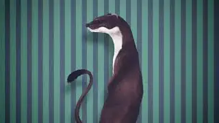 Bernardo Zannoni - I miei stupidi intenti