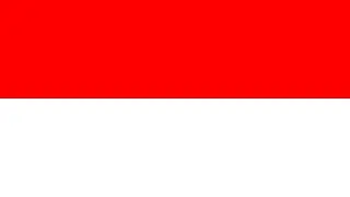 How To Build Lego Flags: Indonesia 