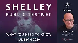 Shelley Public testnet - opening June 9th
