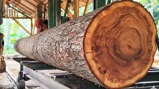 Manual process!! Sawing the longest and most beautiful mahogany wood