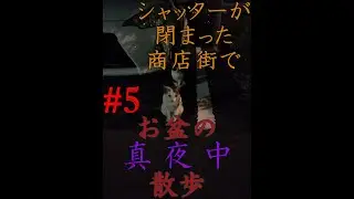 お盆にシャッターだらけの商店街を歩く「2025年岐阜市真夜中散歩5」