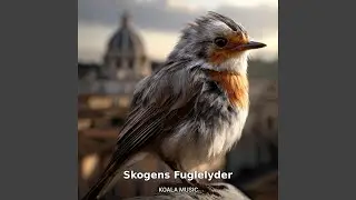 Skogens Fuglelyder for Avslapning og Velv&aelig;re, Pt.16