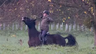 Prince Andrew's horse nearly throws him off in morning ride with granddaughter