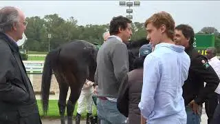 10/5/2025 &ndash; Hipodromo Maro&ntilde;as &ndash; Carr 7 &ndash; DE HONOR