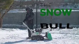 It's Snow Bull Time