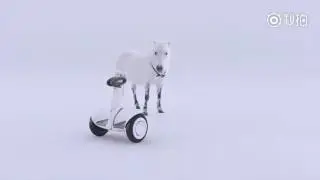 Xiaomi Ninebot Plus Commercial video