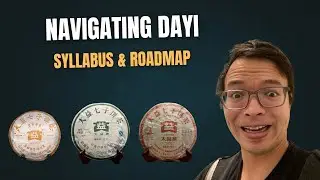 Dayi Syllabus + Roadmap! How to Navigate Dayi [Inbetweenisode 467]