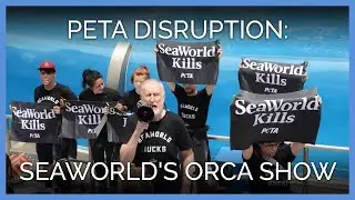 James Cromwell and PETA Take Over SeaWorld's Orca Show