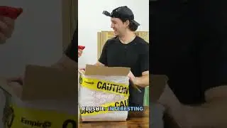 Giant Red Crab & Lobster Surprise from $500 Box!#shorts #mysterybox #survive