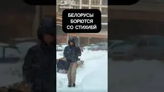 Снежный циклон vs белорусы: кто победит в этой битве? Даже дети берут лопаты! #belarus #циклонулли