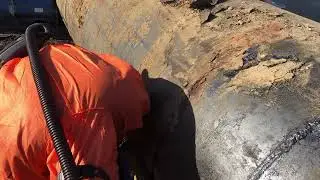 RPR 1650 Induction heating paint removal Western Australia