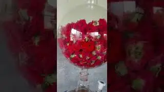 Steam distillation apparatus for essential oil extraction +91-8708771076 #essentialoils #rosewater
