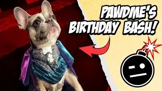 IT'S PAWDME'S BIRTHDAY BASH! Twitch Stream Highlights: 01/25/2022