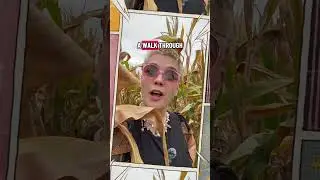 Haunted Corn Field Self Care