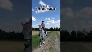 4 Tricks f&uuml;r bessere Ausreitvideos 🦄 #pferd #ausreiten #reiten
