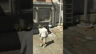 GTA V Chop #gta #gtav #grandtheftauto #gtaonline #chopmission #gtawalkthrough #gaming #franklin