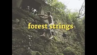 FOREST STRINGS