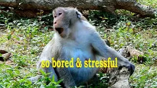 Hmm, Very poor & sad pregnant mom Jane looks so stressful & exhausted due to her unborn baby inside.