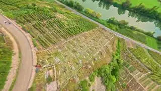 Felseng&auml;rten Hessigheim - FPV