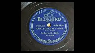 The Cats & The Fiddle - Public Jitterbug No. 1