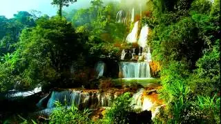 Bing   2014 06 18   Nam Tok Thi Lo Su, Umphang Wildlife Sanctuary, Thailand