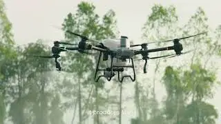 DJI Agras T50 & T25