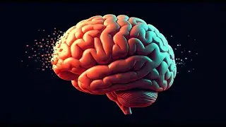 Brain Rot: The Science of Forgetfulness | Information Overload| Causes and Prevention|Wordoftheyear