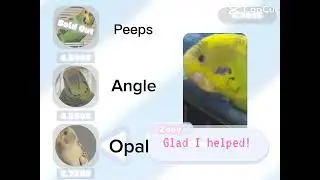 I do not know how to say the name but thank you for letting me use the template SHOP MEME￼