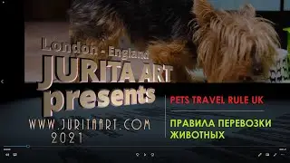 International travel with pets - ENGLAND BREXIT - правила перевозки животных 18/01/2021